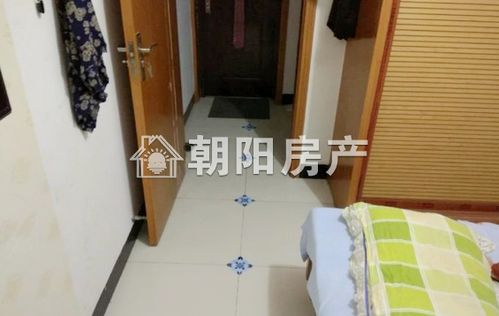 金豐易居好房出租，為您打造理想之家